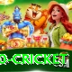 t20 cricket Games (Casino & Earning) Gold v2.8.5