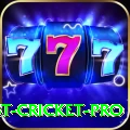 test cricket - Casino Ultimate