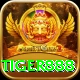 tiger888 Max v3.4.9