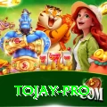 tojay Pro Edition v3.9.8