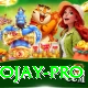 tojay Pro Edition v3.9.8