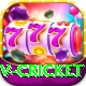 v cricket Gold Edition v2.8.2