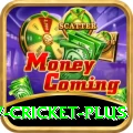 v cricket - Casino Elite