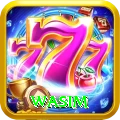 wasim Pro1 v2.0.1