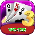 wc t20 Apps (Tools & Injectors) Plus v1.5.4