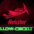 willow cricket Apps (Tools & Injectors) Deluxe v2.8.3