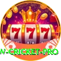 willow cricket Casino Official v2.6.4