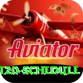 world t20 schedule Games (Casino & Earning) Master v5.5.0
